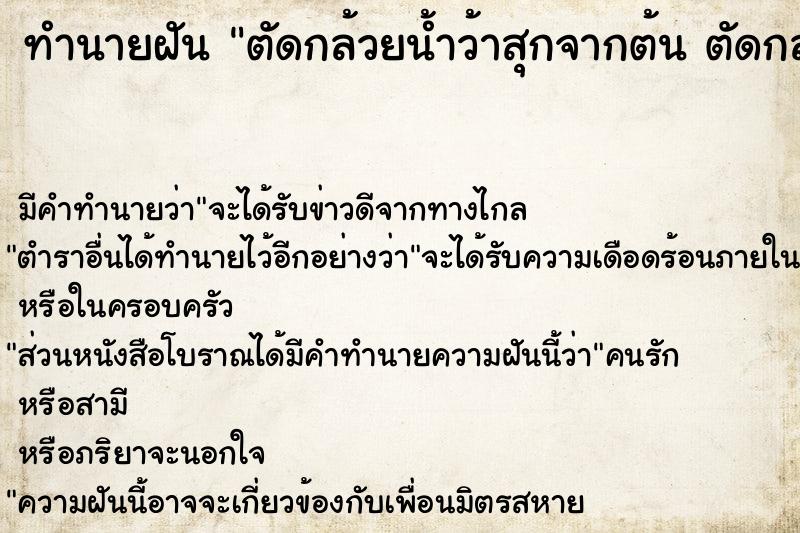 ทำนายฝันทำนายฝันตัดกล้วยน้ำว้าสุกจากต้นตัดกล้วยน้ำว้าสุกจากต้น